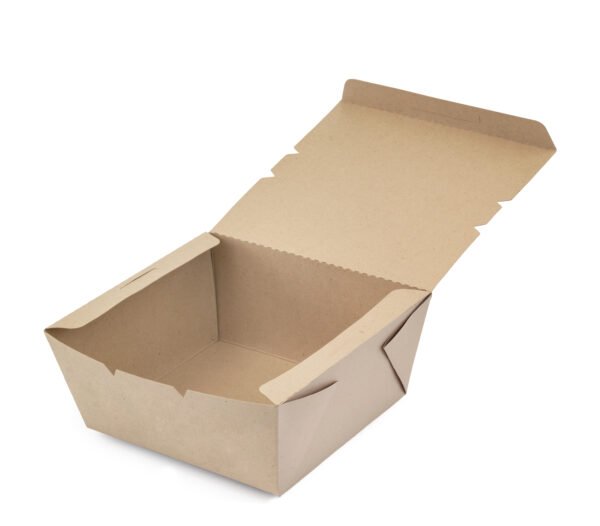 CONTENEDOR 3 CARTON BAGAZO CANA