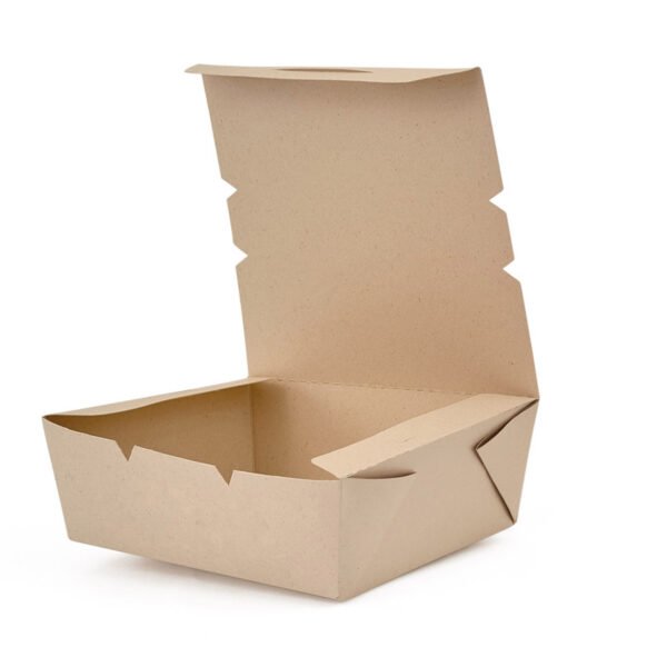 CONTENEDOR 4 CARTON BAGAZO CANA