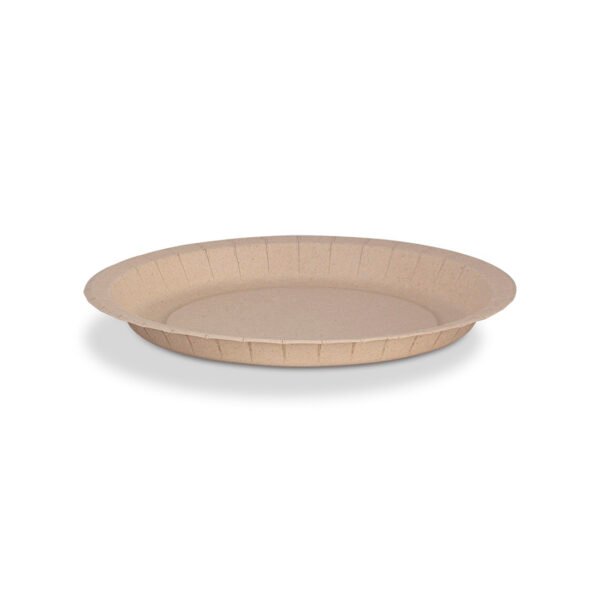 PLATO 15 CARTON BAGAZO CANA