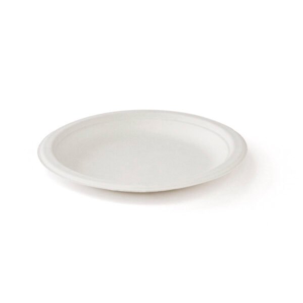 PLATO 15 FIBRA BAGAZO