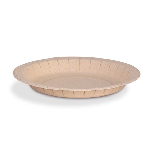 PLATO 22 CARTON BAGAZO CANA