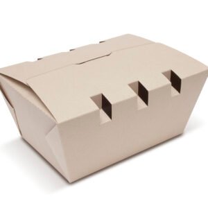 CONTENEDOR 1 CARTON BAGAZO CANA