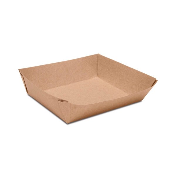PLATO BANDEJA 1 CARTON BAGAZO CANA