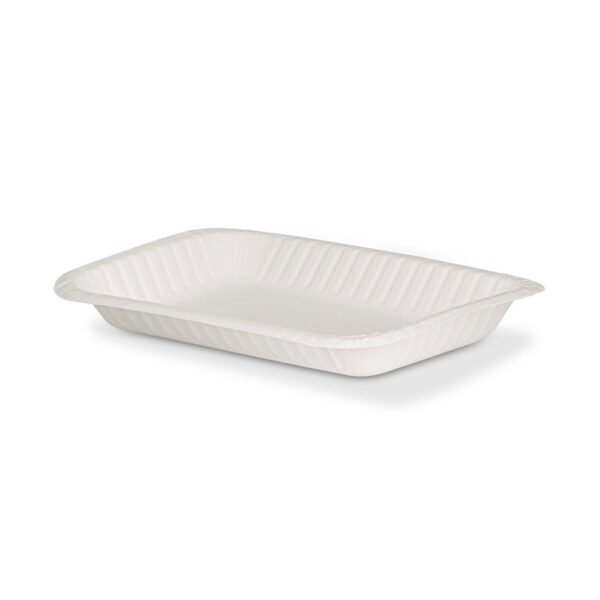 PLATO BANDEJA 2 CARTON